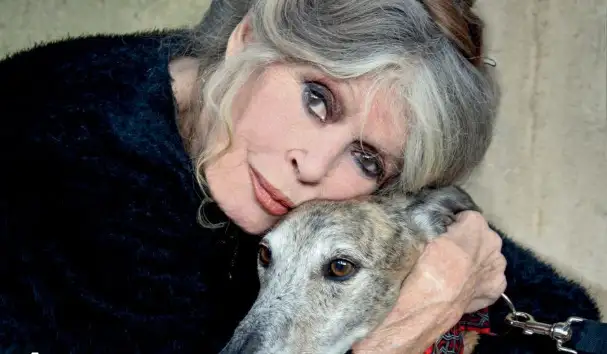 Brigitte Bardot nous a quitt�s, une figure indissociable de Saint-Tropez